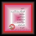 shaniz imtaz astdaa 01 * 22.03.2008 * 274 x 274 * (11KB)